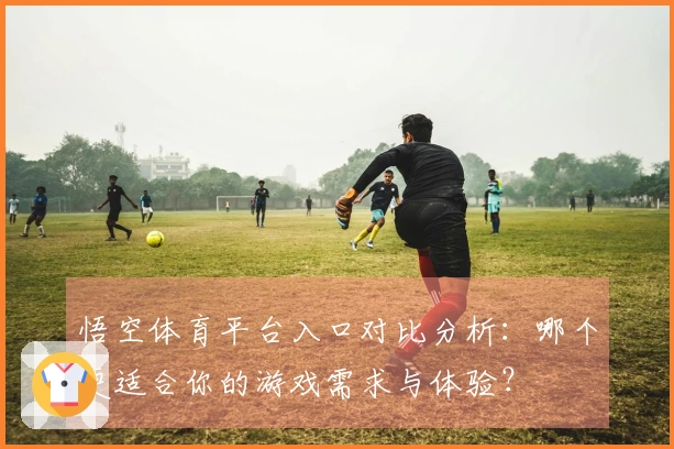悟空体育平台入口对比分析：哪个更适合你的游戏需求与体验？