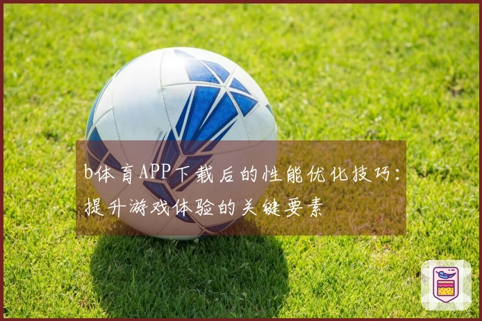 b体育APP下载后的性能优化技巧：提升游戏体验的关键要素