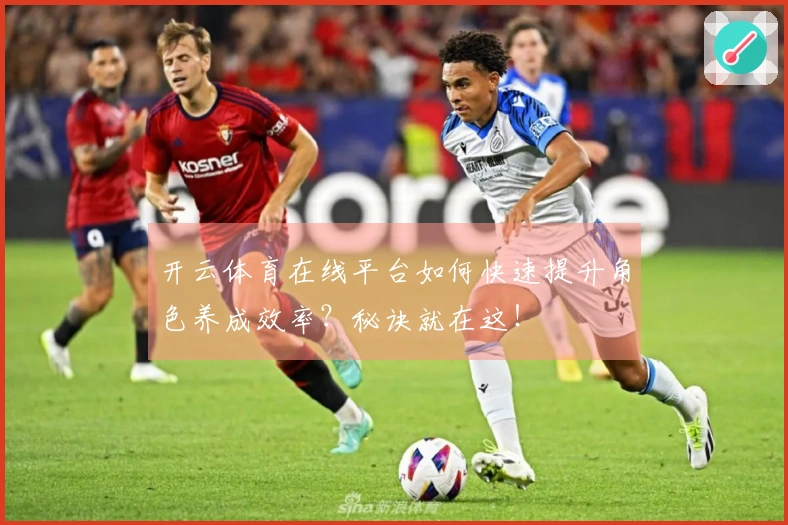 开云体育在线平台如何快速提升角色养成效率？秘诀就在这！